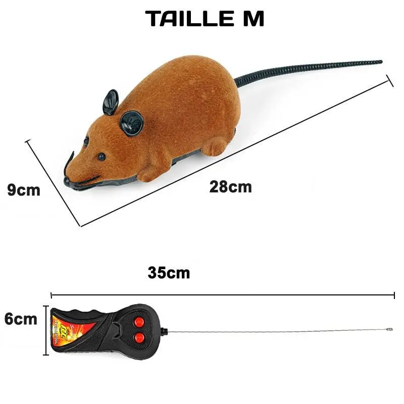 Souris Télécommandée pour Chat vraiment-chat
