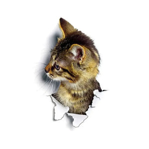 Sticker Chat à Travers le Mur - Vraiment-chat