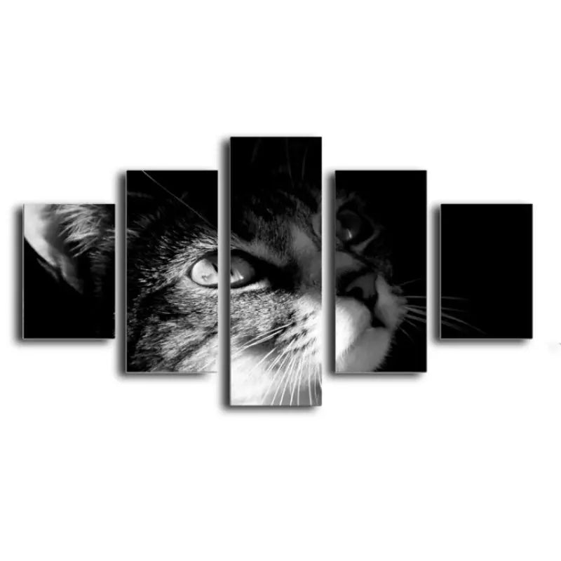 Tableau chat noir et blanc - Vraiment-chat