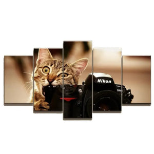 tableau chaton photographe - Vraiment-chat