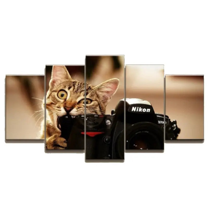 tableau chaton photographe - Vraiment-chat