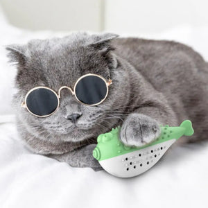 Jeu pour Chat <br/>Poisson Brosse à Dents - Vraiment-chat