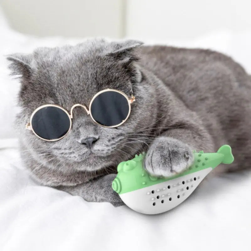 Jeu pour Chat <br/>Poisson Brosse à Dents - Vraiment-chat