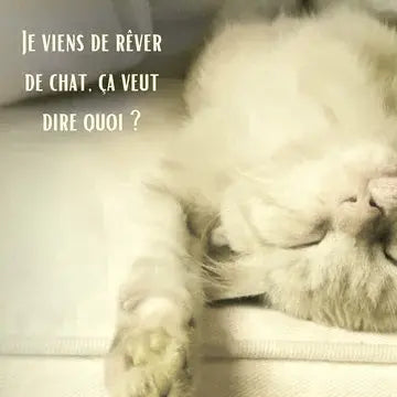 Signification : rêver de chat