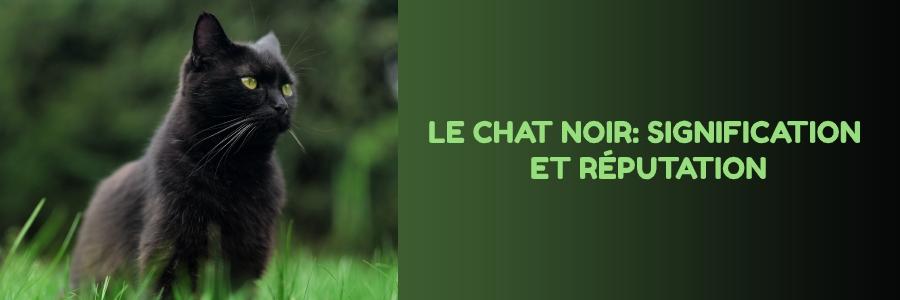 le chat noir : signification, réputation