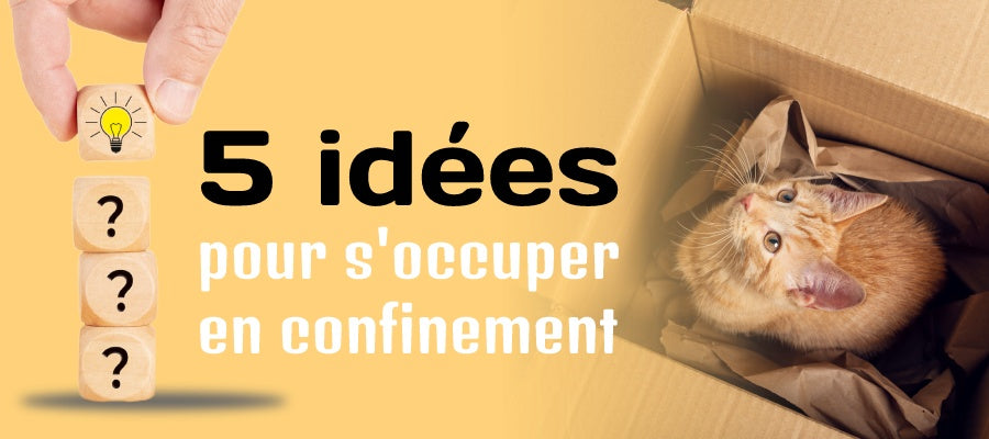 5 idées pour s'occuper durant le confinement