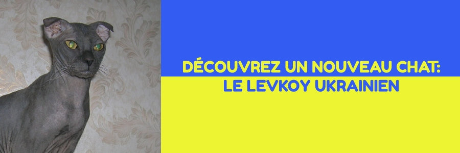 Le Levkoy d'Ukraine