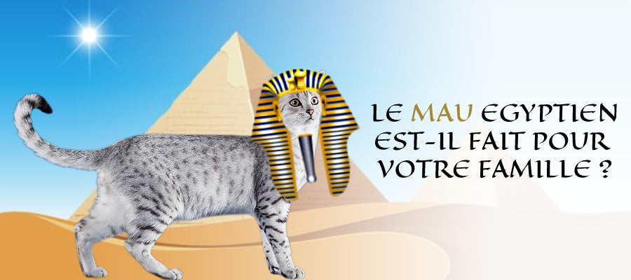 Mau Egyptien