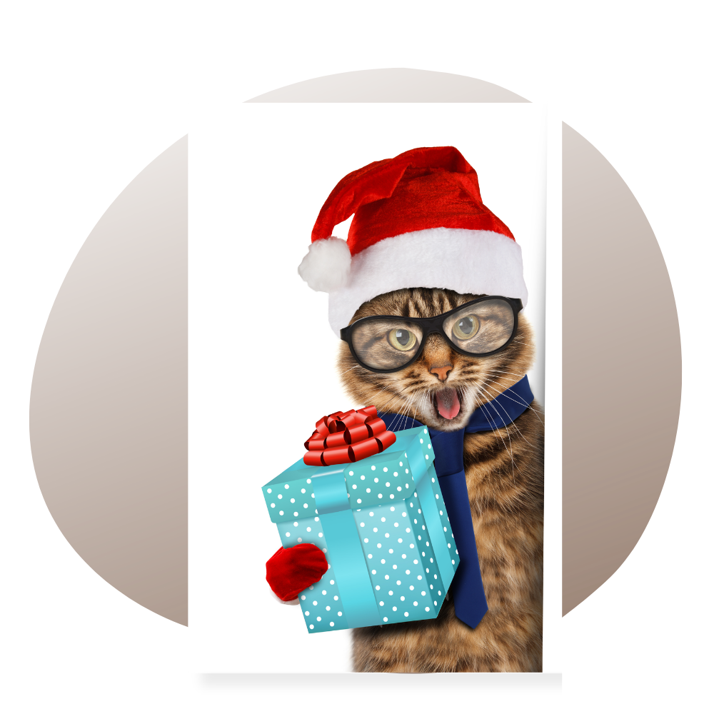 collection posters de chat