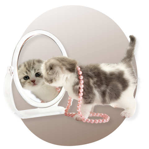BRACELETS ET CHARMS CHAT