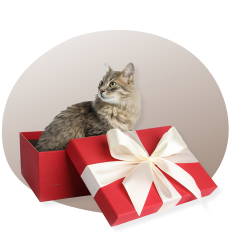 Toutes nos idées Cadeaux Chat