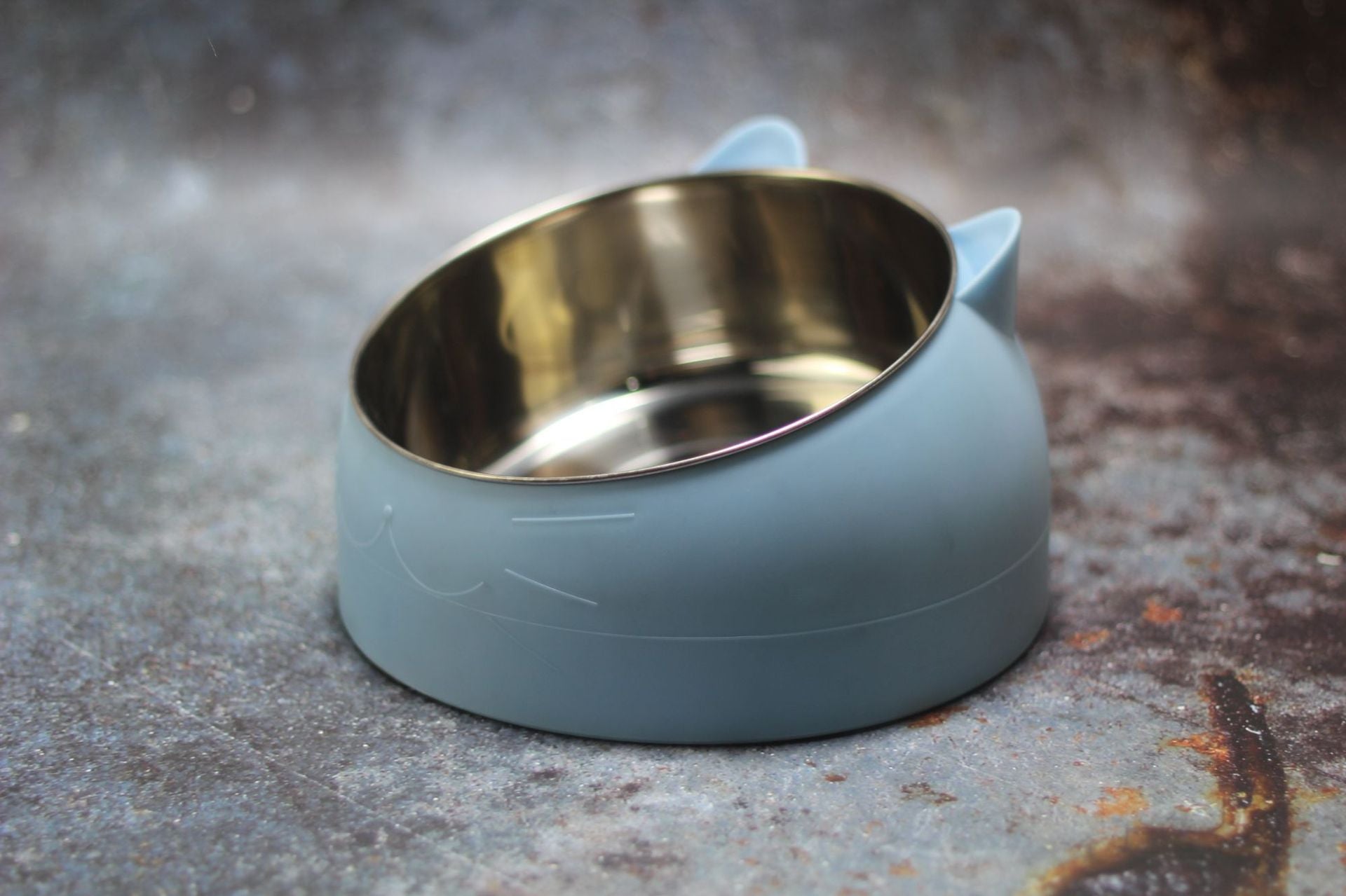 Gamelle Inclinée pour Chat - Vraiment-chat