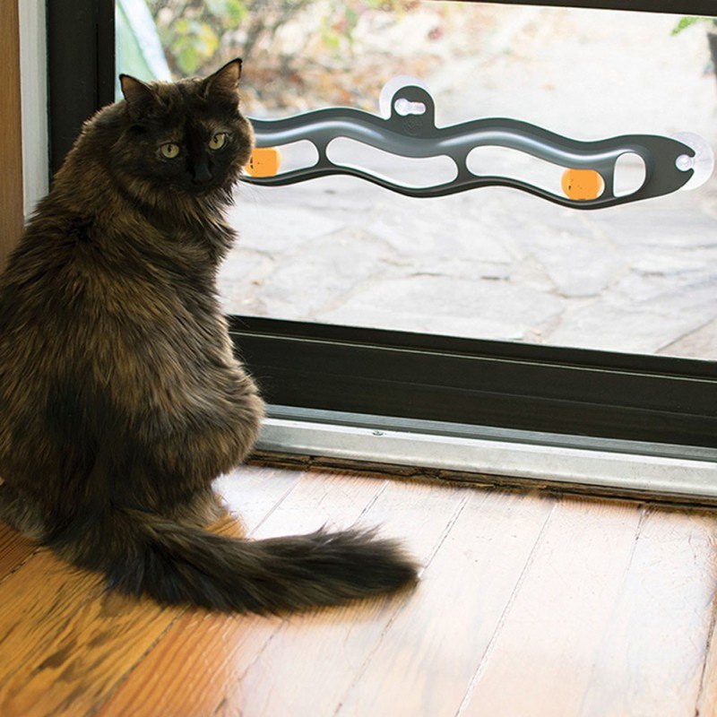 Circuit à Balle pour Chat - Vraiment-chat