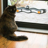 Circuit à Balle pour Chat - Vraiment-chat