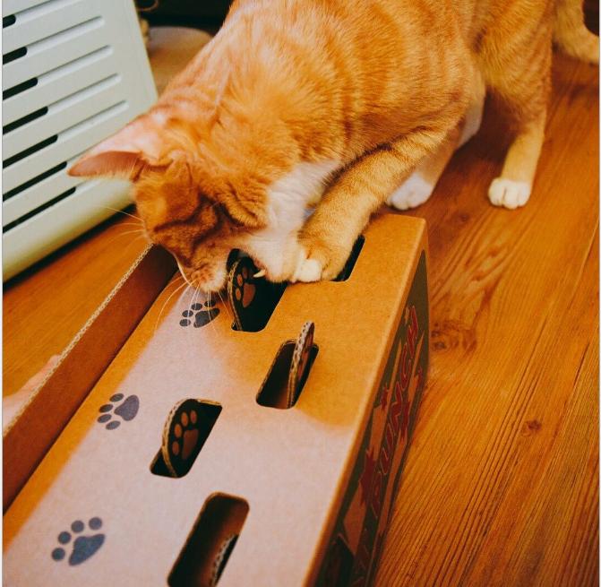 Jeu de Taupe Pour Chat - Vraiment-chat
