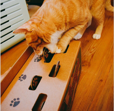 Jeu de Taupe Pour Chat - Vraiment-chat