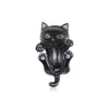 Charm Chat Noir