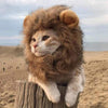 Crinière de lion pour chat - Vraiment-chat