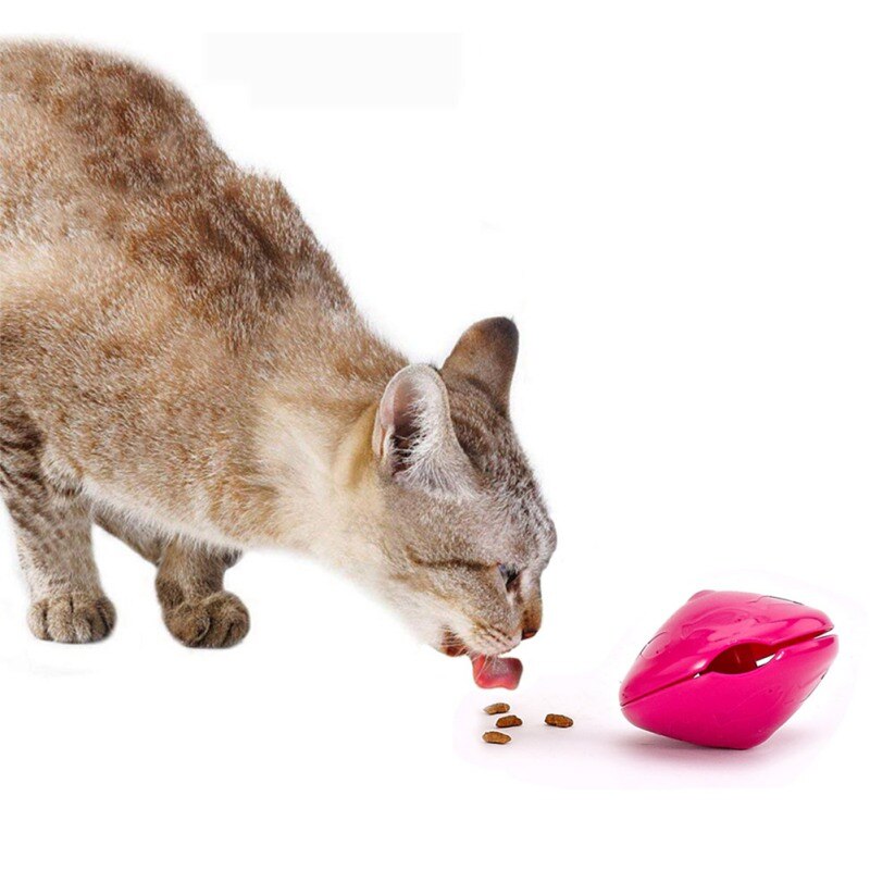 Toupie jouet pour chat distributeur de croquettes - Vraiment-chat