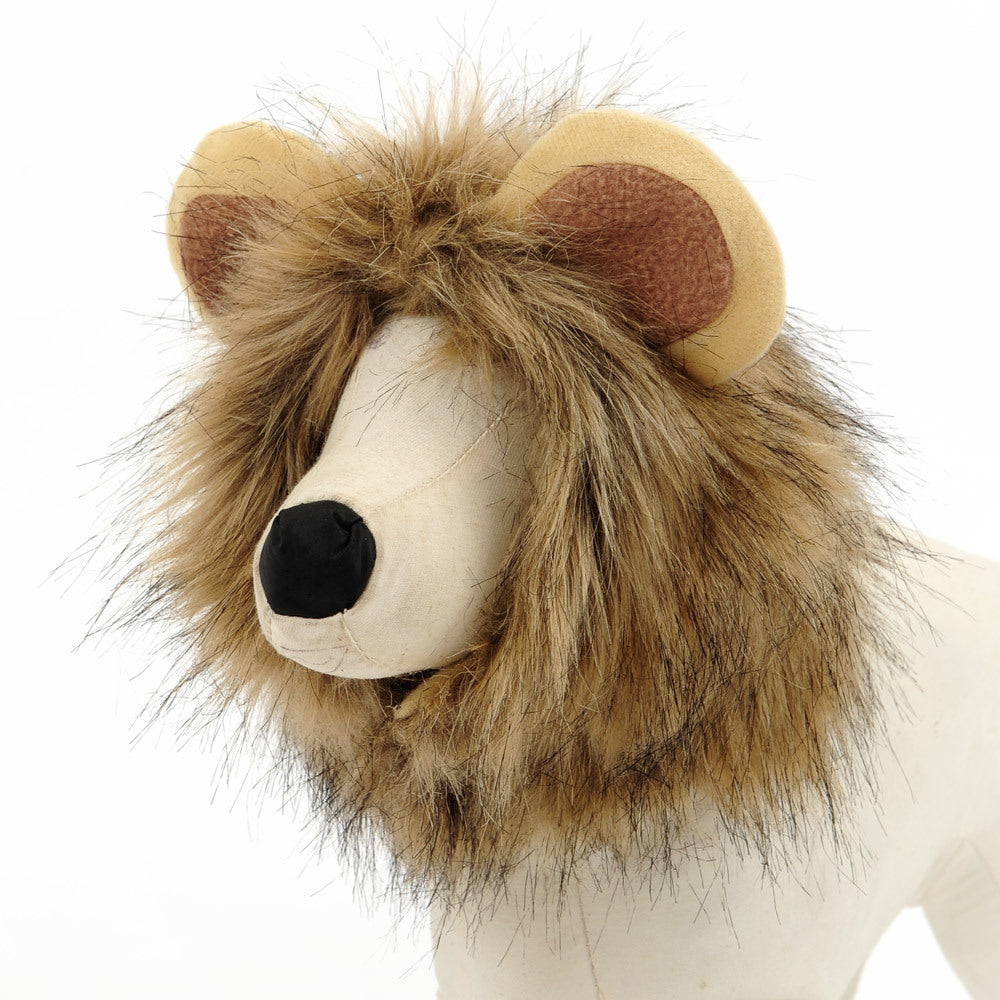 Crinière de lion pour chat - Vraiment-chat
