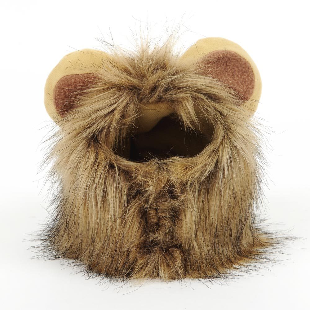 Crinière de lion pour chat - Vraiment-chat