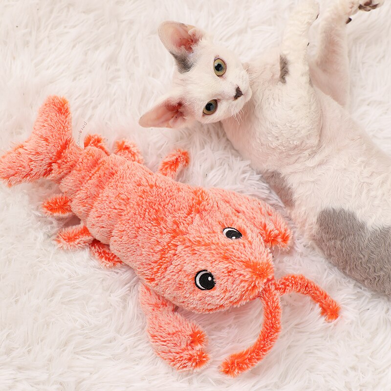 Jouet Chat en Homard - Vraiment-chat
