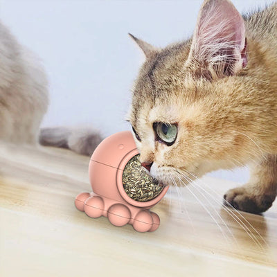 Jouet pour Chat à Lécher - Vraiment-chat