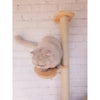 Load image into Gallery viewer, Arbre à chat au Mur Wallou