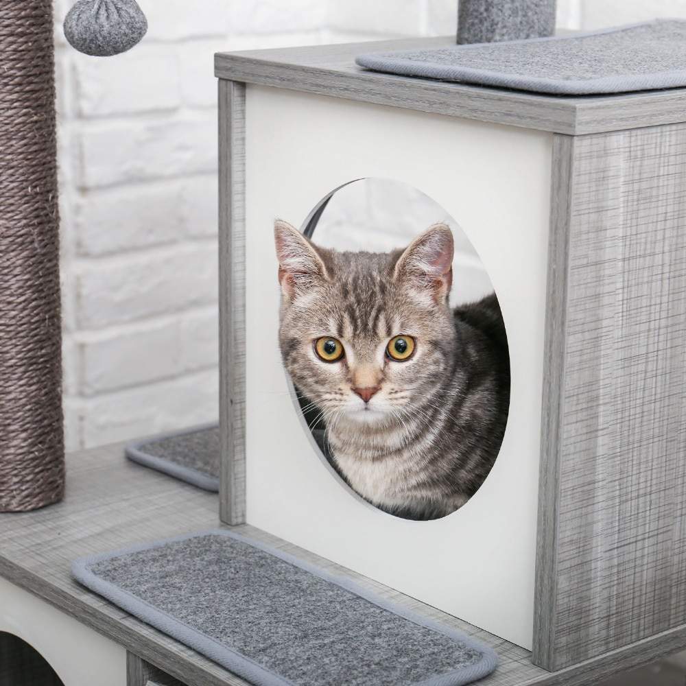 Arbre à Chat BOXIE