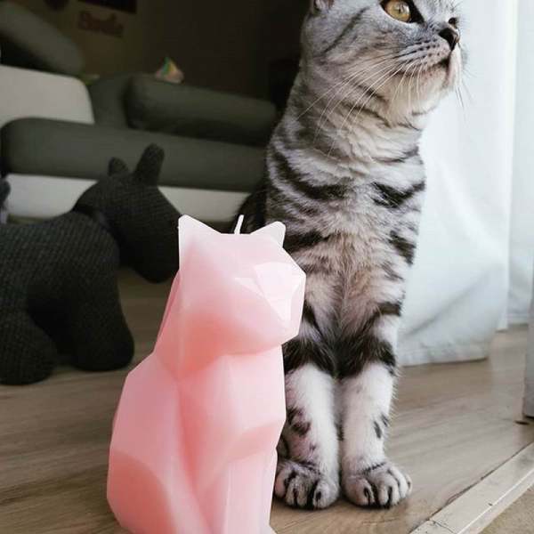 Bougie Chat Squelette - Vraiment-chat