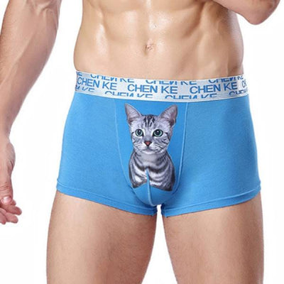 Sous-vêtement chat homme Sexy Meow - Vraiment-chat