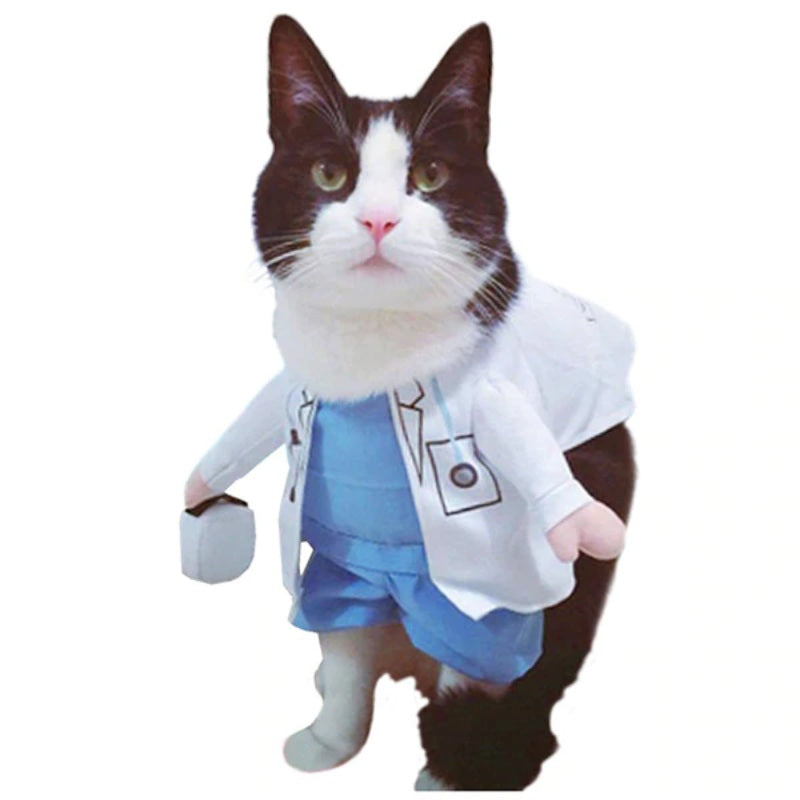 Déguisement Chat Blanc Docteur - Vraiment-chat
