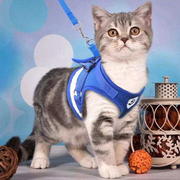 Harnais pour chat avec sa laisse - Vraiment-chat