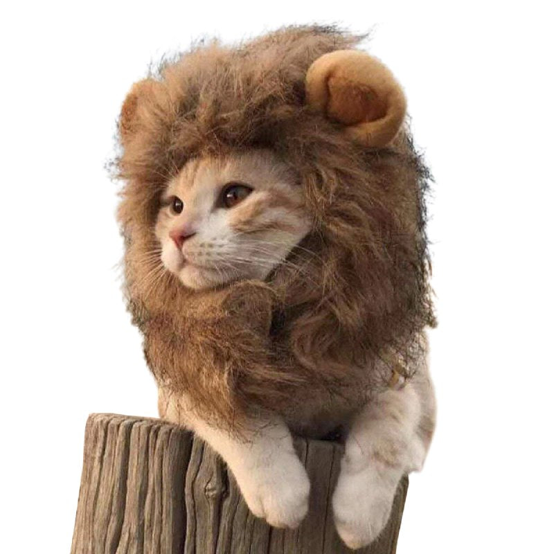 Crinière de lion pour chat - Vraiment-chat