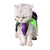 Collier de Clown pour Chat