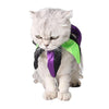 Collier de Clown pour Chat - Vraiment-chat