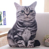 Coussin Chat Réaliste - Vraiment-chat