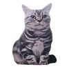 Coussin Chat Gris Réaliste - Vraiment-chat