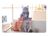 Coussin Chat Réaliste - Vraiment-chat