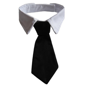 Cravate pour Chat - Vraiment-chat