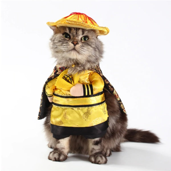 Déguisement chat dragon Empereur - Vraiment-chat