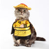 Déguisement chat dragon Empereur - Vraiment-chat