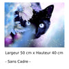 Peinture par Numéro Chat aux Yeux Bleus - Vraiment-chat