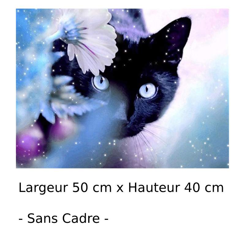 Peinture par Numéro Chat aux Yeux Bleus - Vraiment-chat