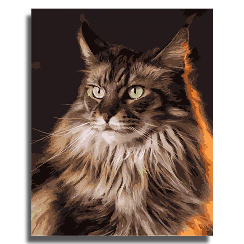 Peinture par Numéro Chat Maine Coon - Vraiment-chat