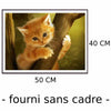 Peinture par Numéro Chaton Roux - Vraiment-chat