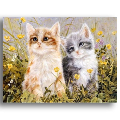 Peinture par Numéro Chat Roux et Gris - Vraiment-chat