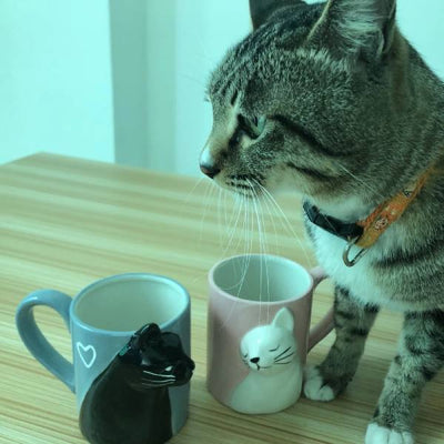 Mug pour Chats Amoureux (x2) - Vraiment-chat