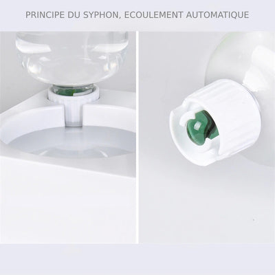 Distributeur Eau et Croquette Chat - Vraiment-chat