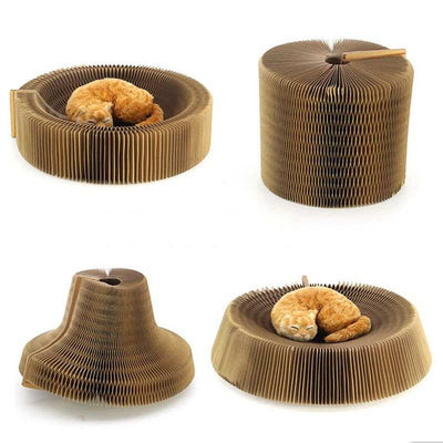 Griffoir pour Chat Design Portable - Vraiment-chat